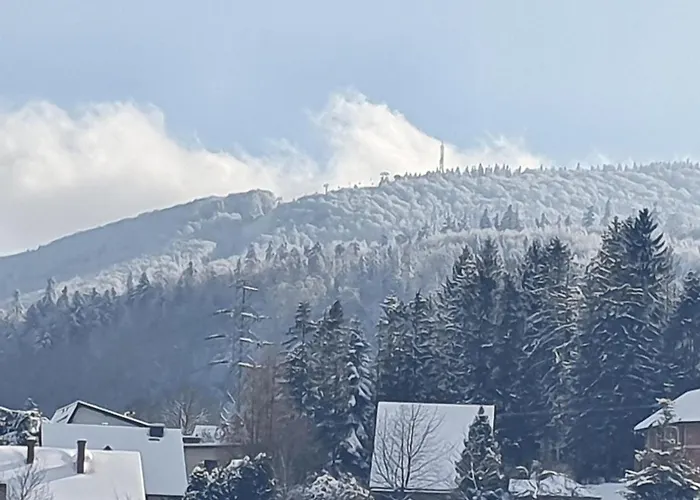 Pod Krolowem أوسترون